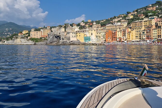 Gulf of Portofino Private Boat Tour - The Sum Up