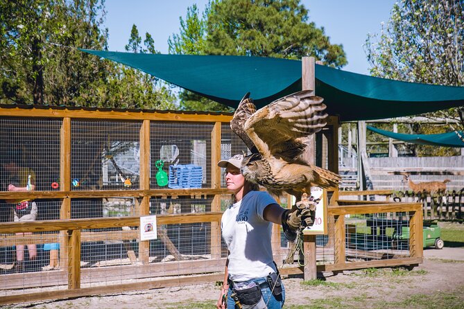 Gulf Shores, Orange Beach Area Multi-Attraction Pass - Participating Attractions and Activities