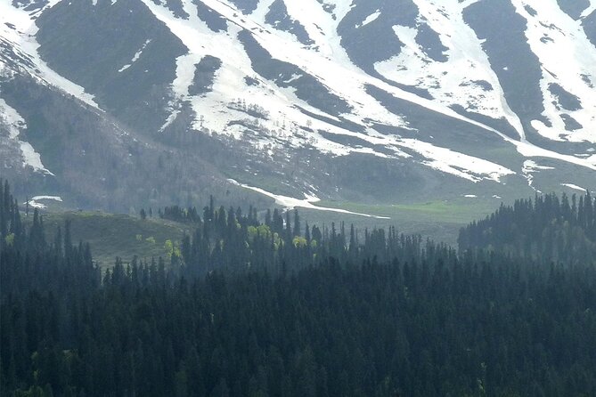 Gulmarg Adventure: a Thrilling Day Trip From Srinagar - Good To Know