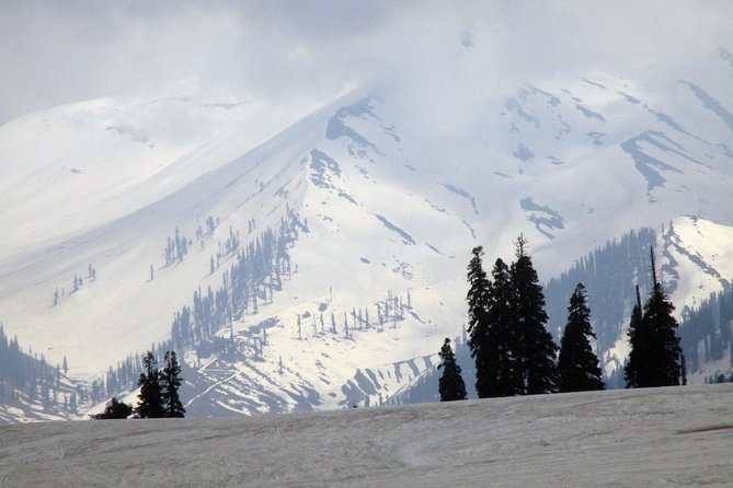 Gulmarg Adventure: a Thrilling Day Trip From Srinagar - Customer Reviews and Testimonials