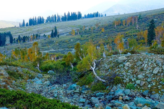 Gulmarg Adventure: a Thrilling Day Trip From Srinagar - The Sum Up