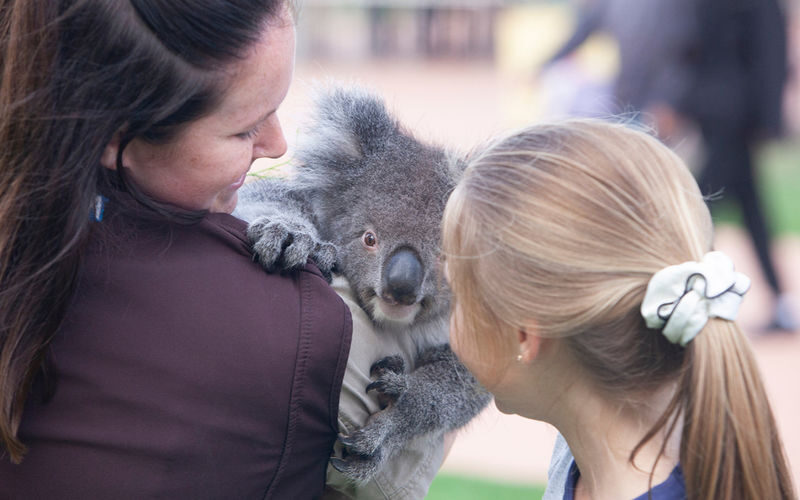 Gumbuya World Ticket in Melbourne - Work out the real value before you book