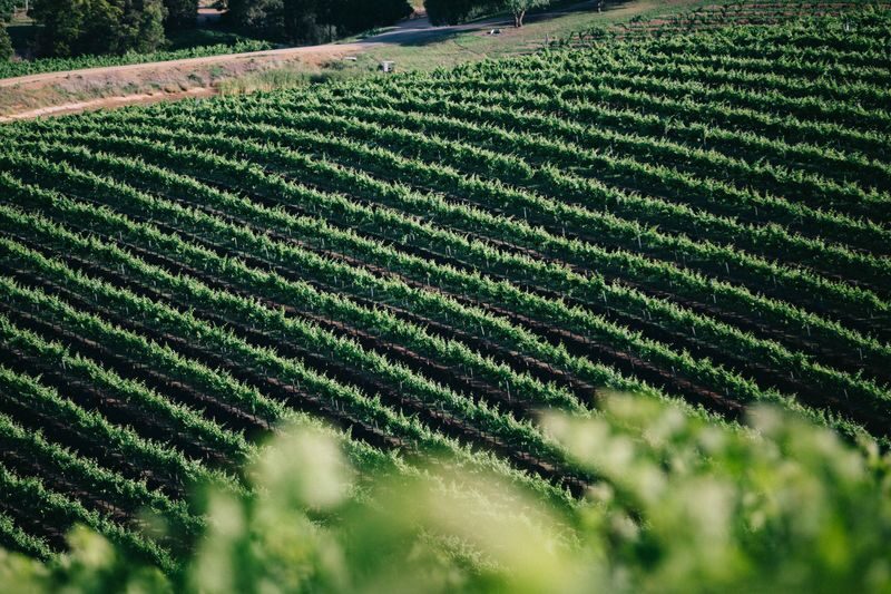 Gundog Estate Wine Tasting Experience in Hunter Valley - Who Will Enjoy This Stop Most?