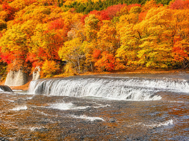 Gunma Day Trip: Autumn Fukiware Falls Maple Viewing/Winter Tambara Ski Park Snow Play & Fruit Picking Experience (Departing from Shinjuku, Tokyo) - A day trip shaped by the calendar