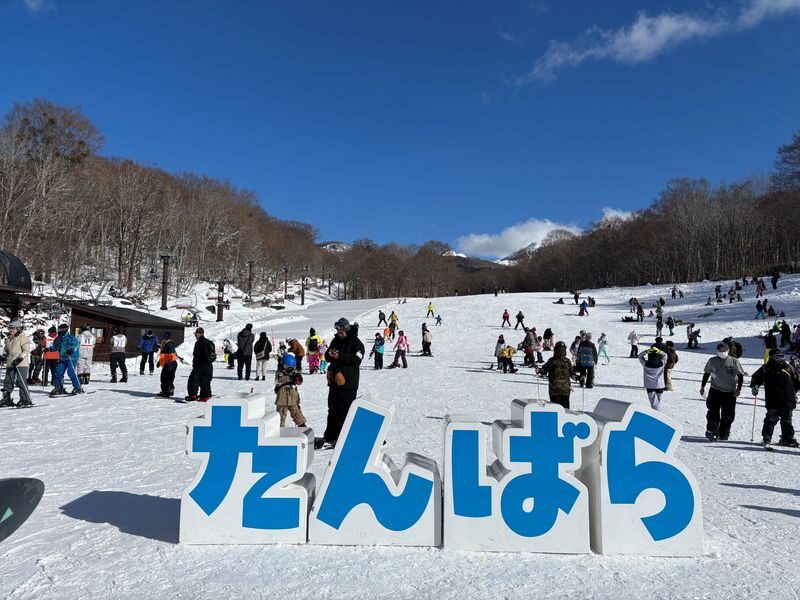 Gunma Day Trip: Autumn Fukiware Falls Maple Viewing/Winter Tambara Ski Park Snow Play & Fruit Picking Experience (Departing from Shinjuku, Tokyo) - Practical details before you book