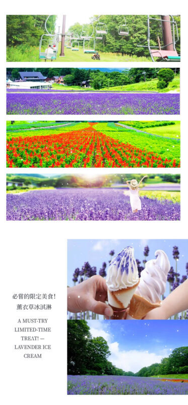 Gunma Harada Farm & Tambara Snow Park Full-Day Tour - Is $55.19 good value?
