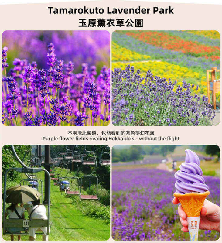 Gunma Rural Fun Tour: Fukiaware Falls & Harada Farm Fruit Picking & Lavender Flower Sea/Skiing/Ikaho Onsen Day Trip (From Tokyo) - Choosing lavender, snow or Ikaho