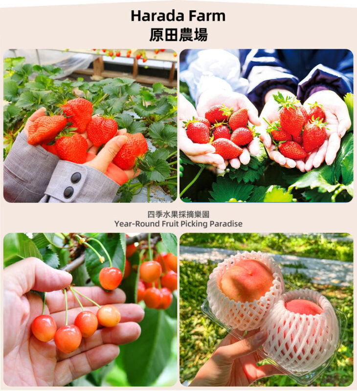 Gunma Rural Fun Tour: Fukiaware Falls & Harada Farm Fruit Picking & Lavender Flower Sea/Skiing/Ikaho Onsen Day Trip (From Tokyo) - What the $79 starting price covers