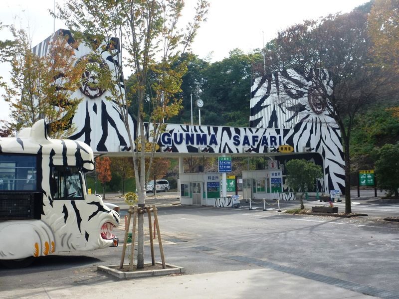 Gunma Safari Park Ticket - Key points to know before you go