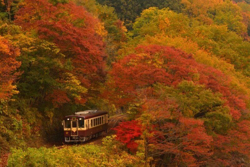 Gunma Watarase Keikoku & Takatsudo Gorge Autumn Day Tour - Leaving Tokyo for the Watarase Valley