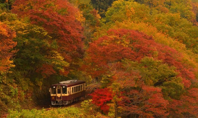 Gunma Watarase Keikoku & Takatsudo Gorge Autumn Day Tour - Takatsudo Gorge, where the path matters