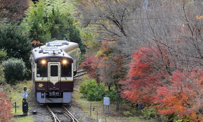 Gunma Watarase Keikoku & Takatsudo Gorge Autumn Day Tour - Lunch and the rhythm of the day