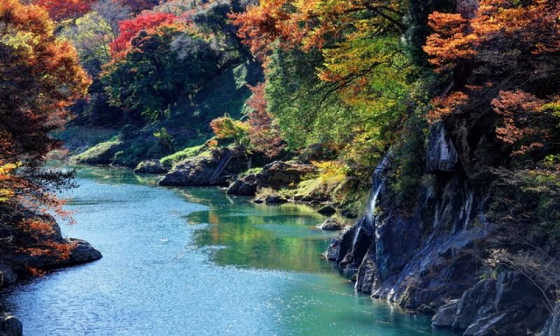 Gunma Watarase Keikoku & Takatsudo Gorge Autumn Day Tour - Timing your trip for autumn color