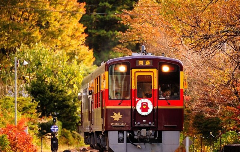 Gunma Watarase Keikoku & Takatsudo Gorge Autumn Day Tour - Guides, language and group coordination