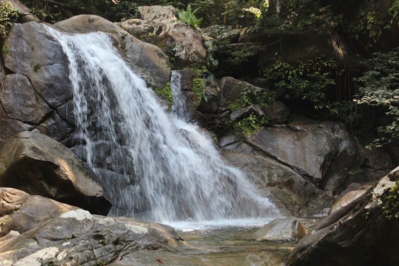 Gunung Gading National Park Day Tour in Sarawak - Waterfalls when the flower is not in bloom