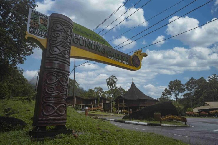 Gunung Gading National Park Tour Kuching Sarawak - Activity Details