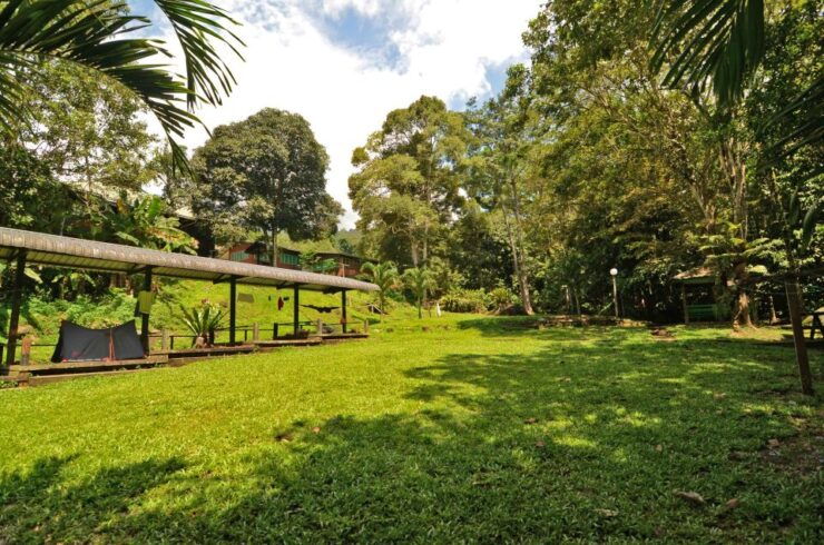 Gunung Gading National Park Tour Kuching Sarawak - Experience
