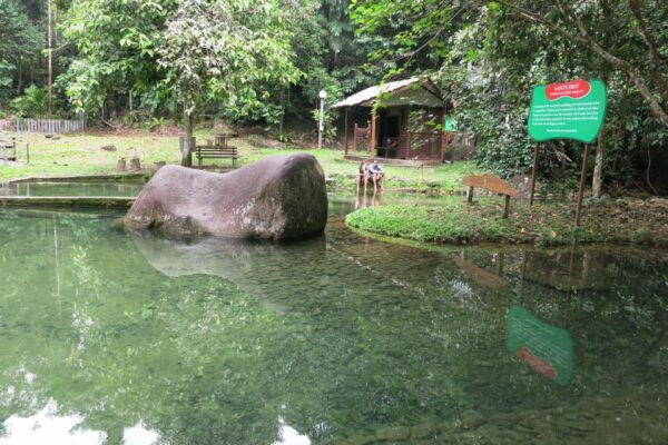 Gunung Gading National Park Tour Kuching Sarawak - The Sum Up