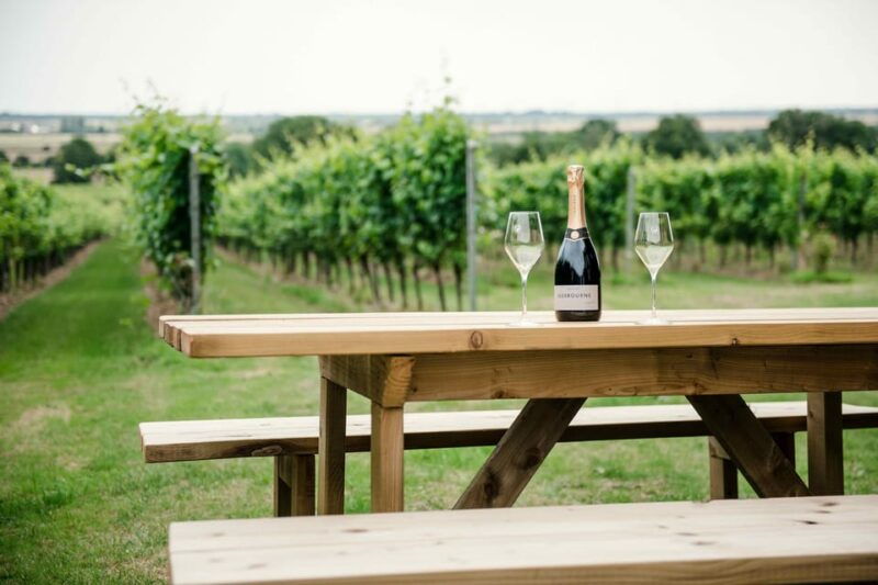 Gusbourne Wine Tasting 2pm - Good To Know  