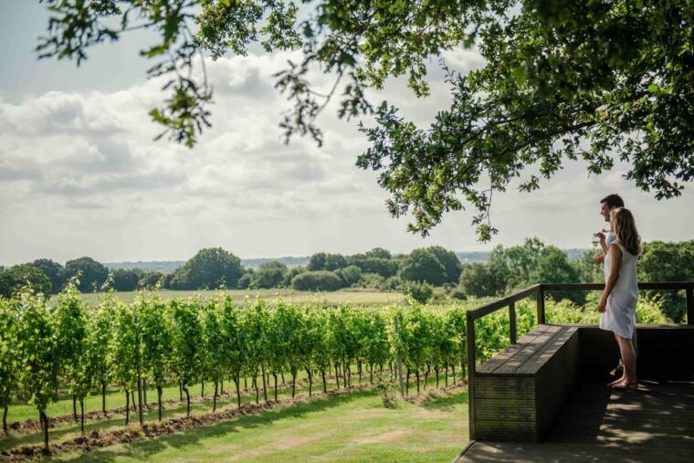 Gusbourne Wine Tasting 2pm - The Sum Up