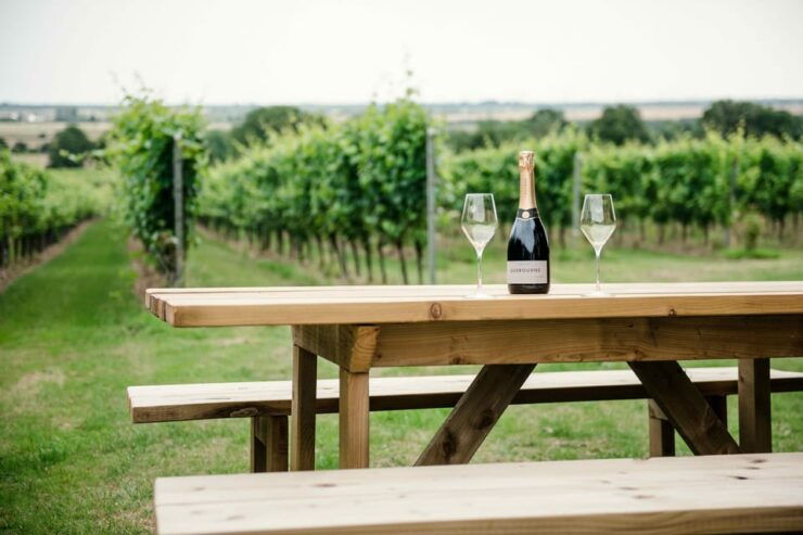Gusbourne Wine Tasting 2pm - Booking and Cancellation