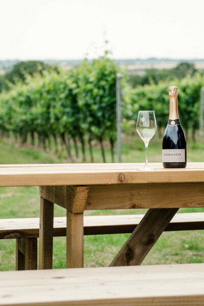 Gusbourne Wine Tasting 2pm - Estate Setting