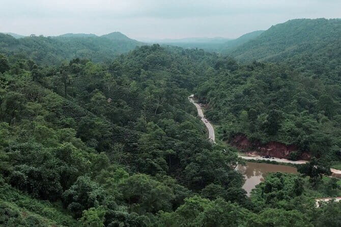 Guwahati Tea Garden tour @ Amchong - What Could Be Better?