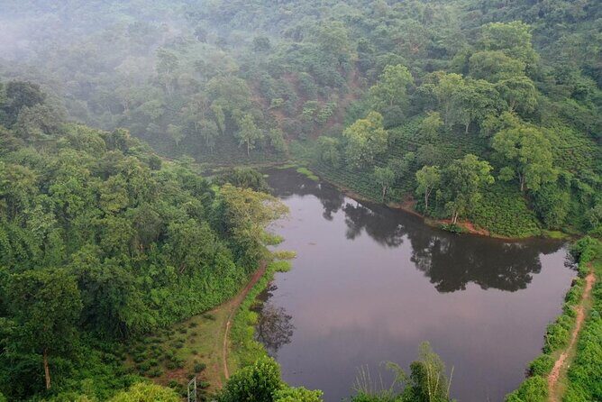 Guwahati Tea Garden Tour with Lunch & Hi Tea (Premium Experience) - Authentic Experiences and Unique Insights