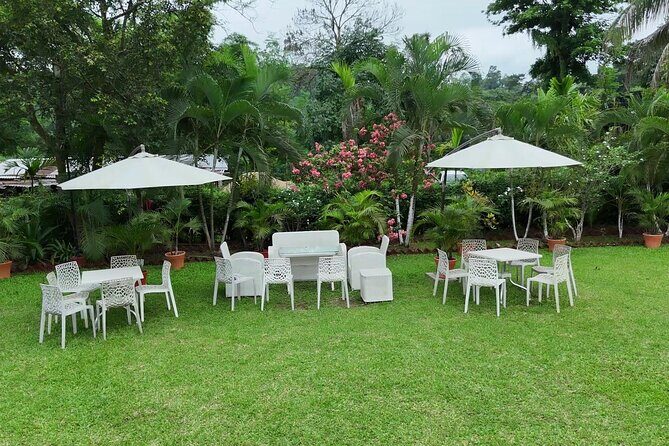 Guwahati Tea Garden Tour with Lunch & Hi Tea (Premium Experience) - The Sum Up