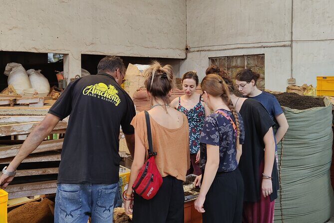 Guwahati Tea Garden Tour with Lunch & Hi Tea (Premium Experience) - The Sum Up