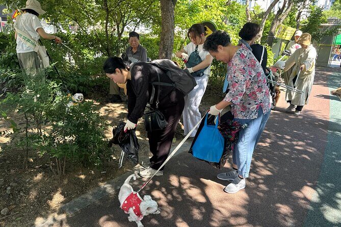 Gwangju Pet Plogging Tour (4 hours) - Starting Point: Pureun-gil Park