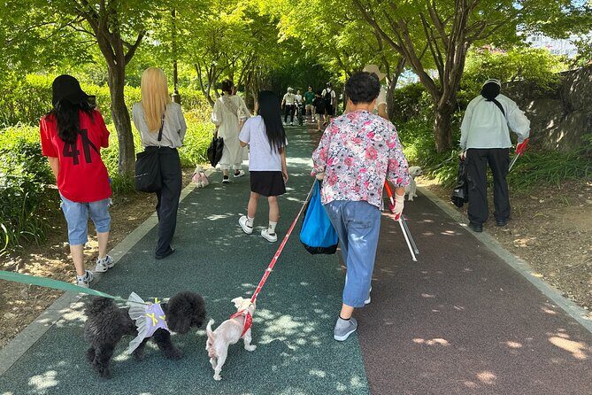 Gwangju Pet Plogging Tour (4 hours) - Discovering Dongmyeong-dong Cafe Street