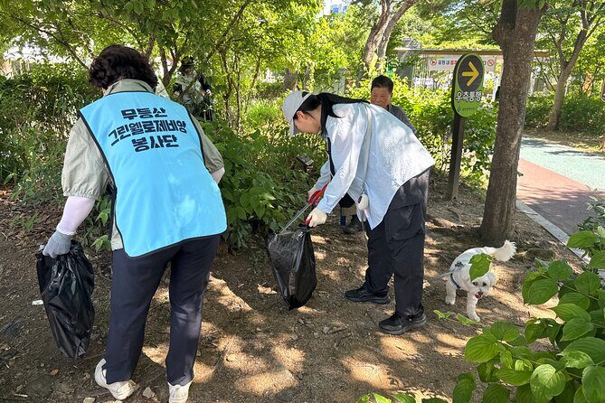 Gwangju Pet Plogging Tour (4 hours) - Cultural Heart: Dong-gu District