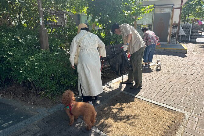 Gwangju Pet Plogging Tour (4 hours) - Final Thoughts: Is It Worth It?