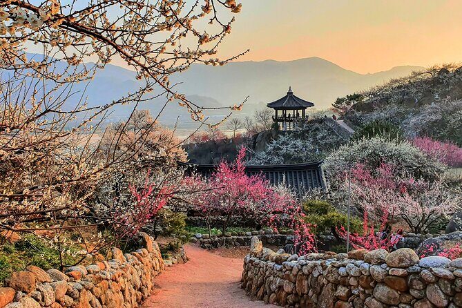 Gwangyang Plum Blossom & Gurye Sansuyu Festival Tour from Busan - Good To Know