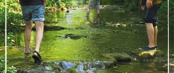 Gye-Sur-Seine: Randeau - Hike With Your Feet in the Water - Location & Activity Details