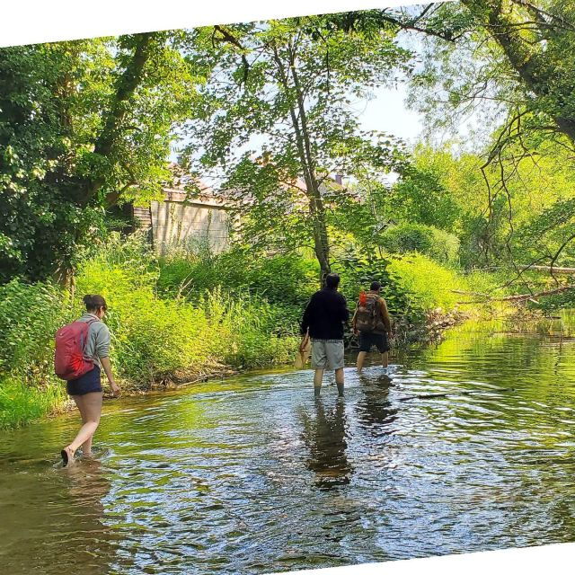 Gye-Sur-Seine: Randeau - Hike With Your Feet in the Water - Experience Highlights