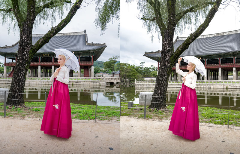 Gyeongbokgung Palace Photo& Vertical Video Service - Meeting beside Gwanghwamun Gate