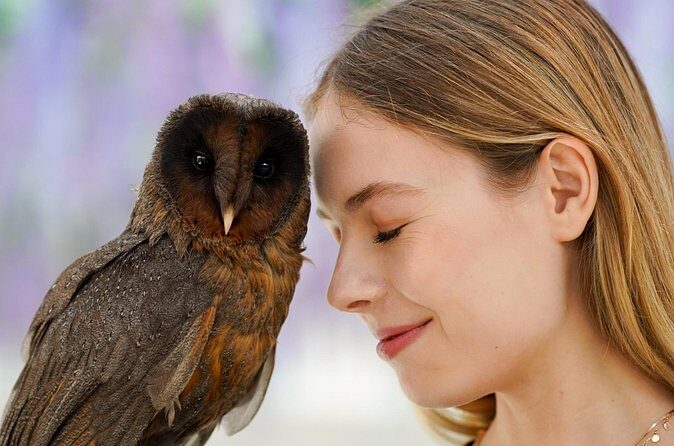 Gyeonggi Begonia Bird Park Ticket - Who Will Enjoy This Tour?