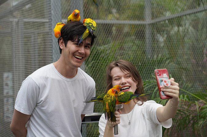 Gyeonggi Begonia Bird Park Ticket - FAQ