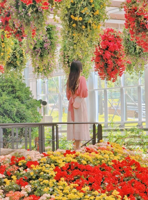 Gyeonggi Begonia Bird Park Ticket - Start among the begonias and free-roaming birds