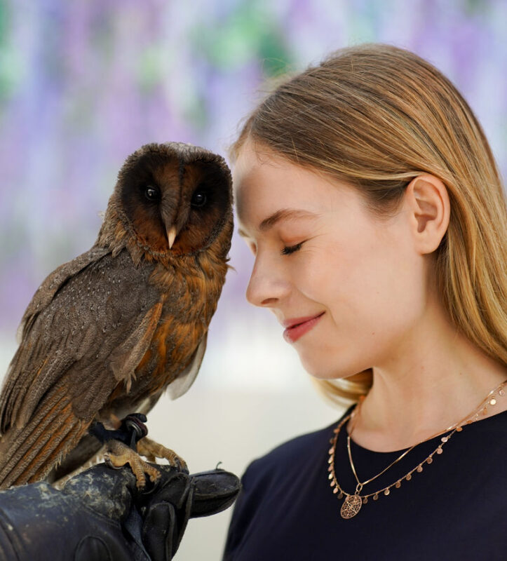 Gyeonggi Begonia Bird Park Ticket - Check the date, hours, and rules before you go