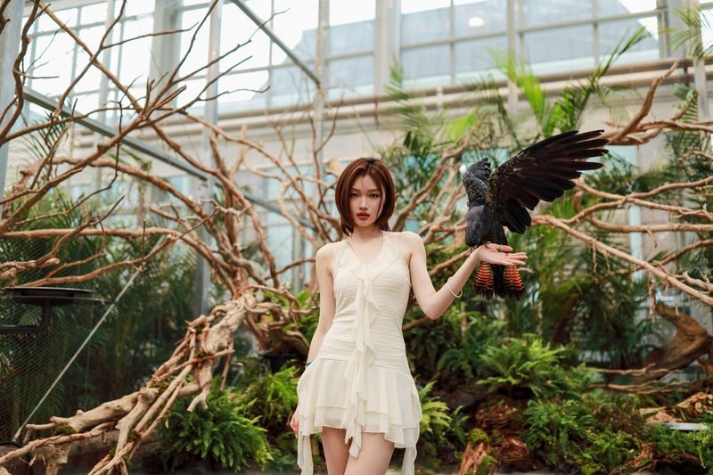 Gyeonggi Begonia Bird Park Ticket - Who should book Begonia Bird Park?