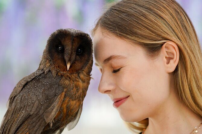 Gyeonggi Begonia Bird Park Ticket - What is the Gyeonggi Begonia Bird Park?