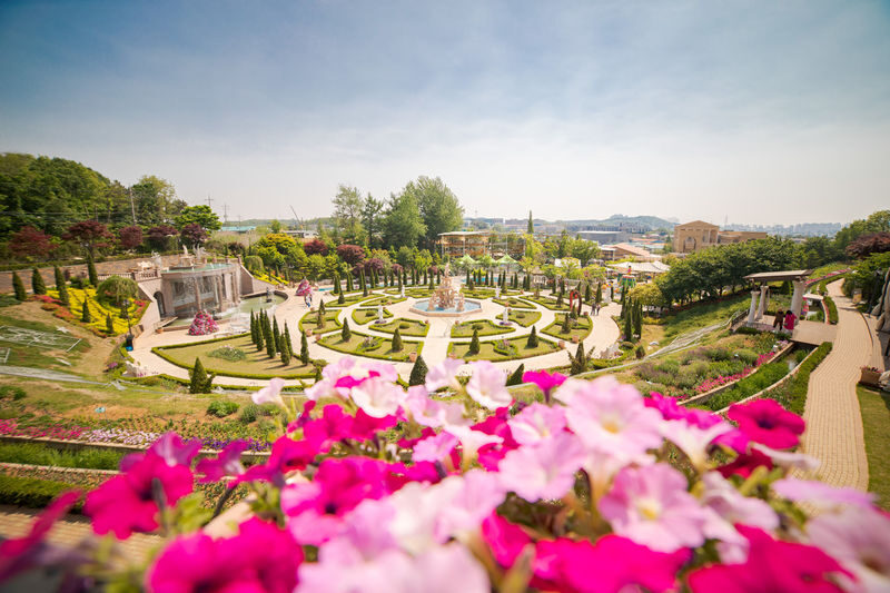 Gyeonggi-do Paju First Garden Star Light Garden One Day Tour (From Seoul) - Choose between a lake bridge and a seaside luge