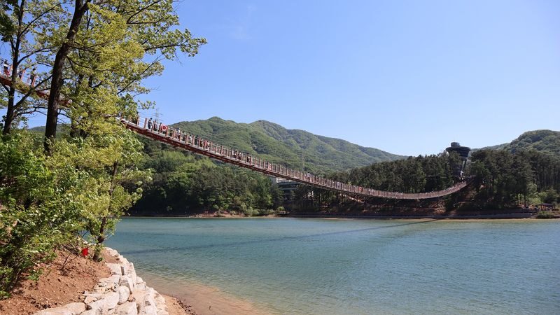 Gyeonggi-do Paju First Garden Star Light Garden One Day Tour (From Seoul) - Should you book this Paju day trip?