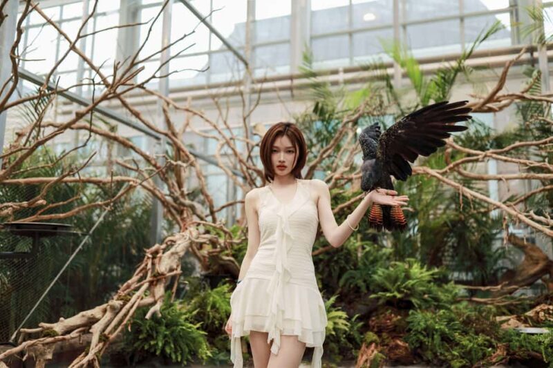 Gyeonggi: Gaypeong Begonia Bird Park Entry Ticket - Good To Know