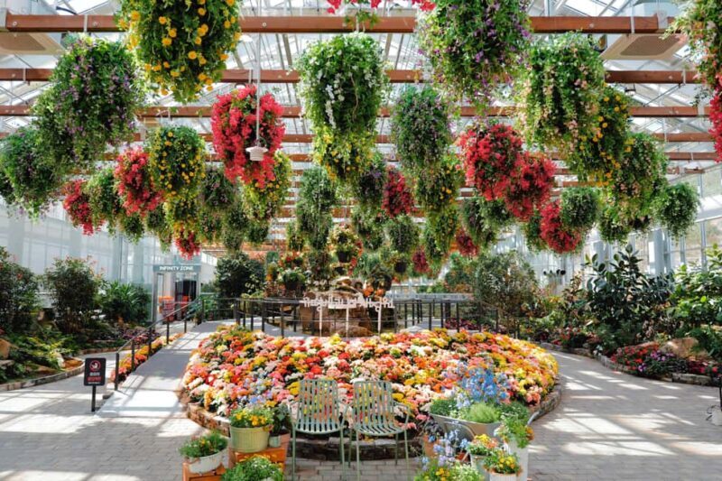 Gyeonggi: Gaypeong Begonia Bird Park Entry Ticket - An Overview of Gaypeong Begonia Bird Park