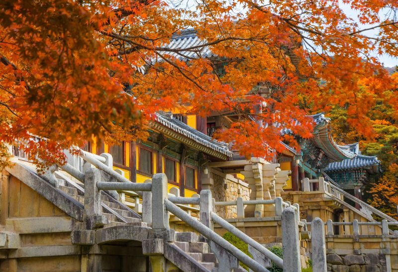 Gyeongju Ancient Architecture UNESCO Sites One-Day Private Tour - A private day for Gyeongju’s architecture