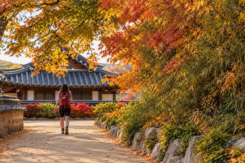 Gyeongju Ancient Architecture UNESCO Sites One-Day Private Tour - Using the tour to travel from Busan